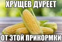 1280x858