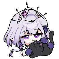736x736
