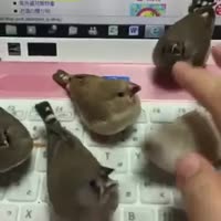 360x360
