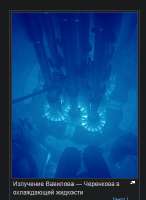 291x398