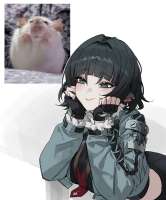 850x1023