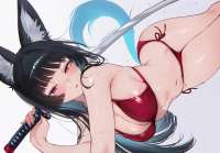 4000x2788