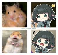 2825x2699