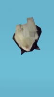 720x1280