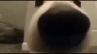 640x360