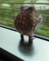1080x1350