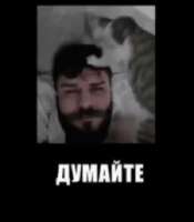 300x341