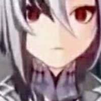 736x736