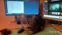 1280x721