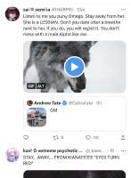 828x1124