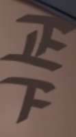341x613