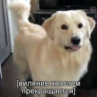 1054x1053