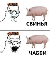 622x750
