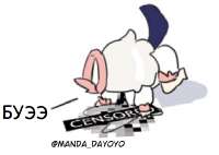 569x404