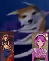 480x600