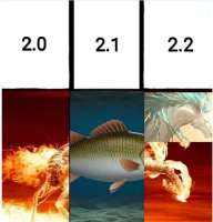 558x580