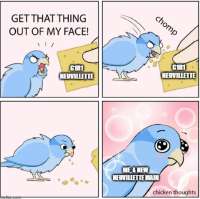 740x737