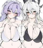 2701x2995