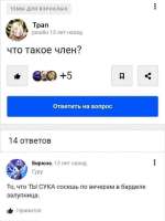 736x981