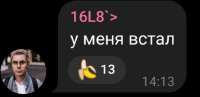 954x466