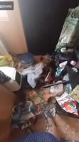 398x713
