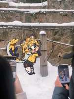 510x680