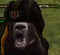 392x360