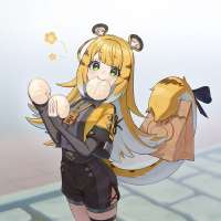736x736