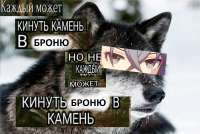 1200x806