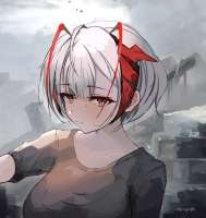 2538x2684