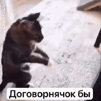 320x320