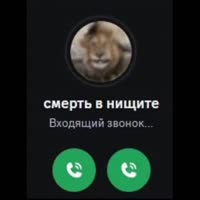 576x576