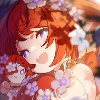736x736