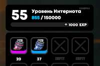608x406