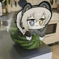 626x626
