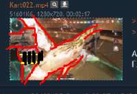 242x168