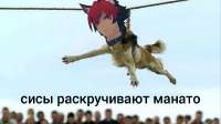 1080x607