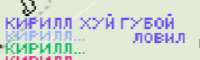 242x73