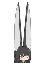 736x1041