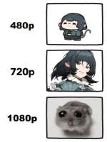 736x981