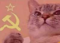 382x276