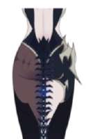 181x263