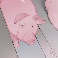 1080x1080