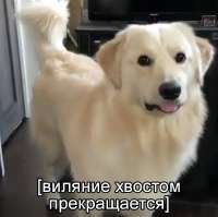 1054x1053