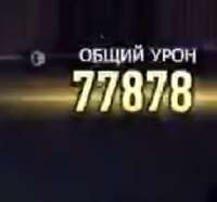 246x229