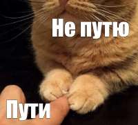 729x660