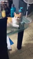 608x1080
