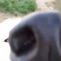 360x360