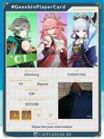 810x1080