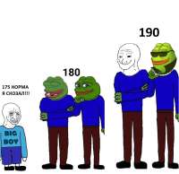 800x778